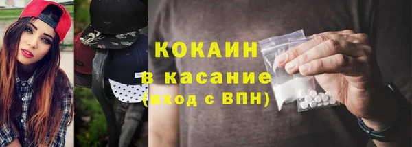 стаф Арсеньев