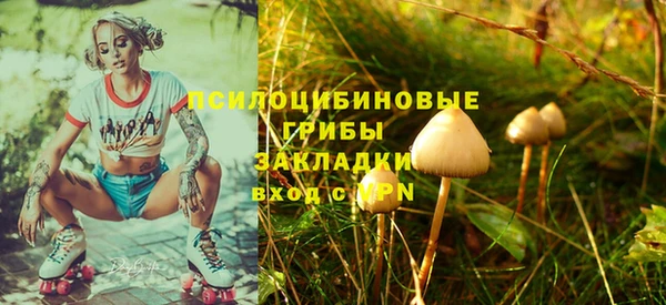 apvp Балахна
