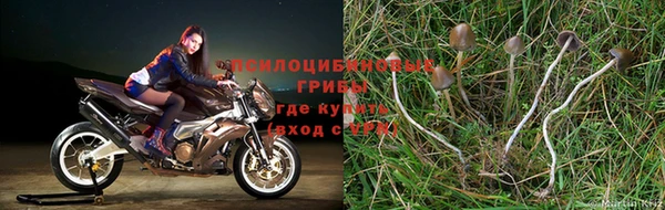 трава Армянск