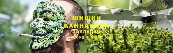 стаф Арсеньев
