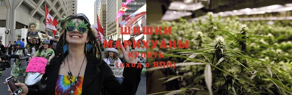 ГАЛЛЮЦИНОГЕННЫЕ ГРИБЫ Аркадак