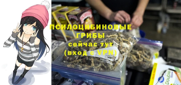 трава Армянск
