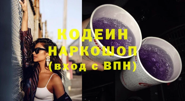ГАЛЛЮЦИНОГЕННЫЕ ГРИБЫ Аркадак