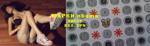 стаф Арсеньев