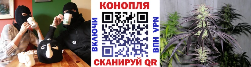 Марихуана AK-47  Благодарный 